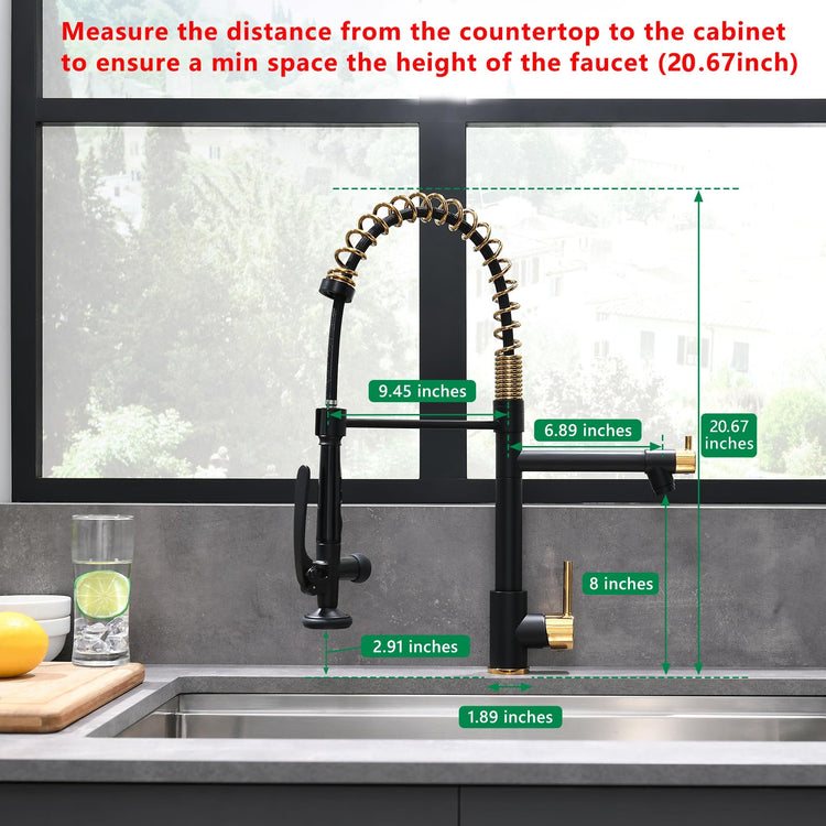 Black&Gold Kitchen Faucet with Sprayer