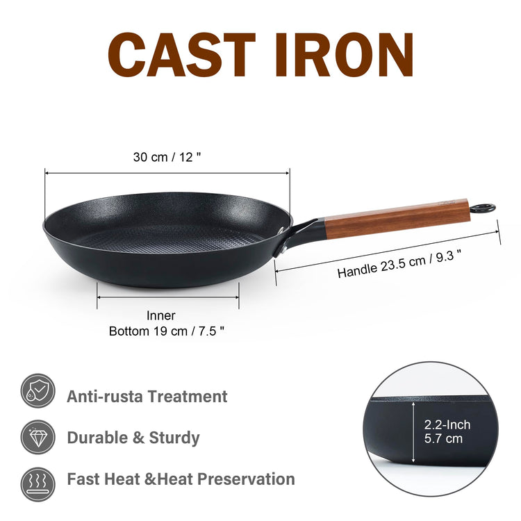 Cast Iron 12 Inch Nonstick Skillets