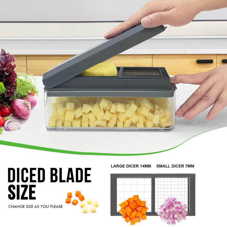 Vegetable Chopper, Onion Chopper Dicer, Mandoline Slicer with Container, Vegetable Cutter for Salad Potato Carrot Garlic(2 Blades, Grey)
