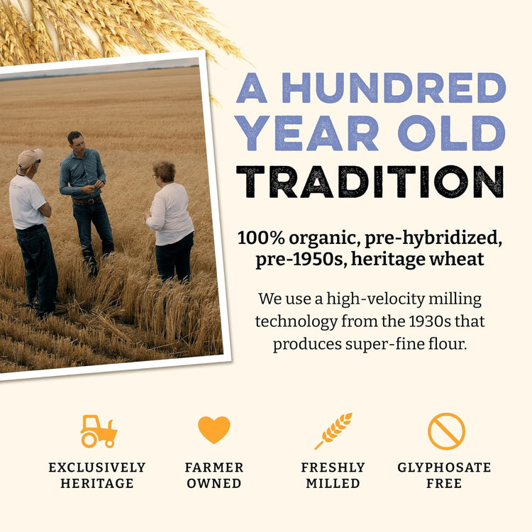 Sunrise Flour Mill USDA Organic Heritage Pasta Flour - 5 lbs | Milled from Hard Red Wheat | Easier to Digest with Less Bloating | No Bleaching or Bromating | Zero Additives - Nestoria