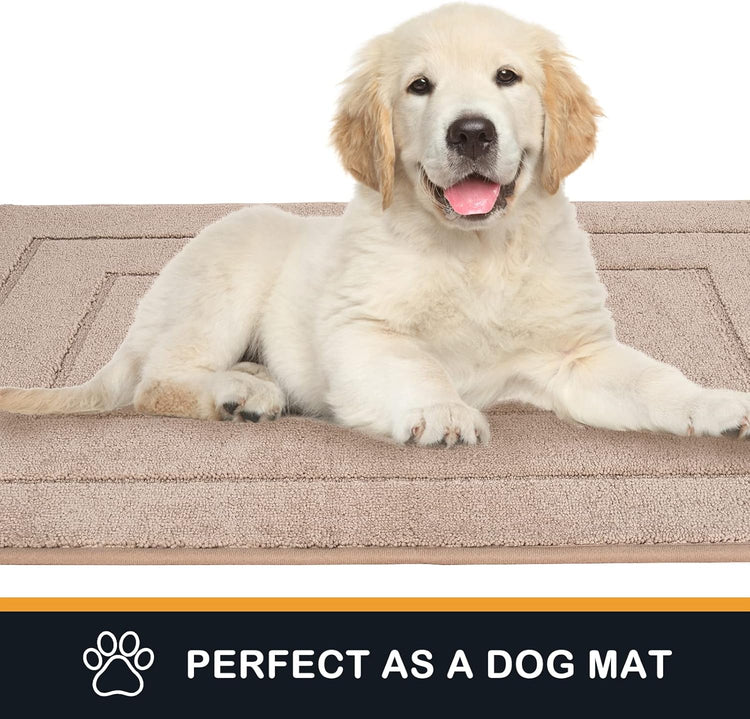 PURRUGS Dirt Trapping Door Mat 34" x 59", Non-Slip/Skid Machine Washable Entryway Area Rug, Dog Doormat, Super Absorbent Welcome Mat for Muddy Wet Shoes and Paws, Beige