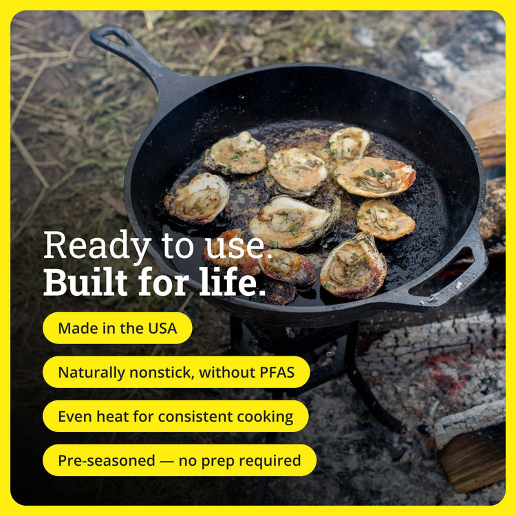 Pre Seasoned Cast Iron Skillet