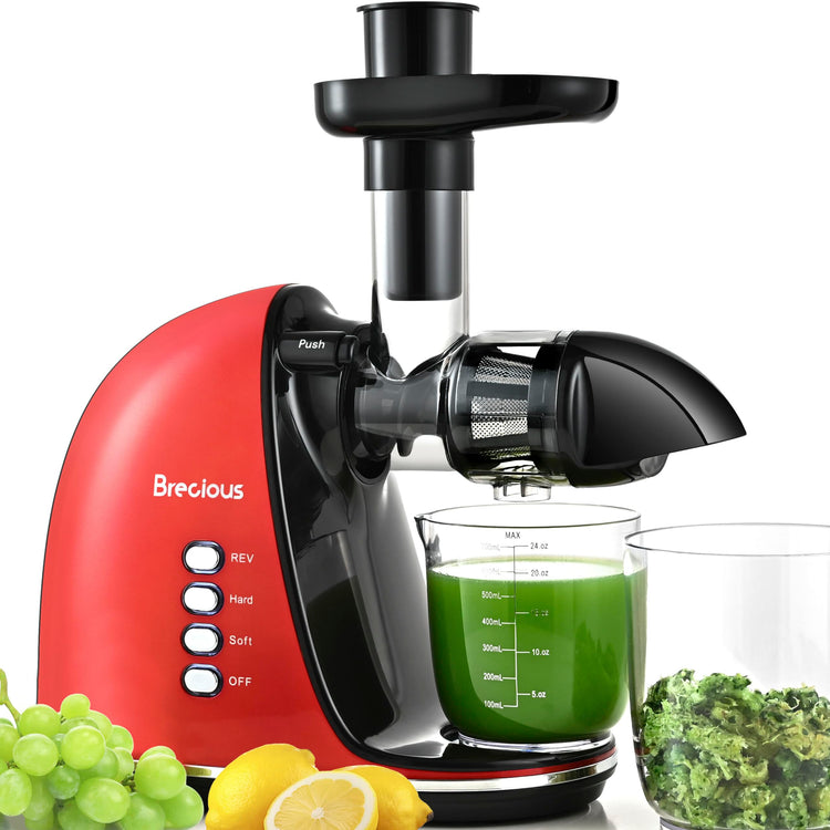 Slow Masticating Juicer