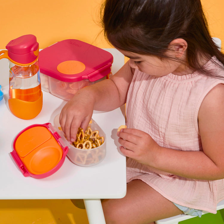 Snack Box Snack Containers for Kids