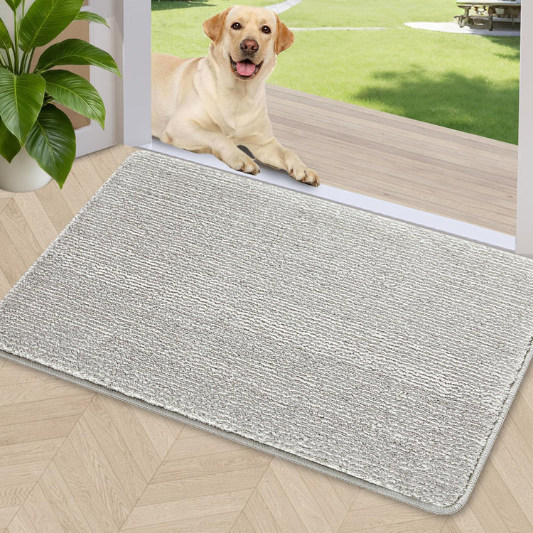 Indoor Door Mat 20"x32"