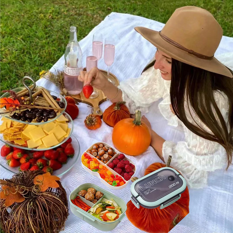 Double Layer Bento Box with Cutlery