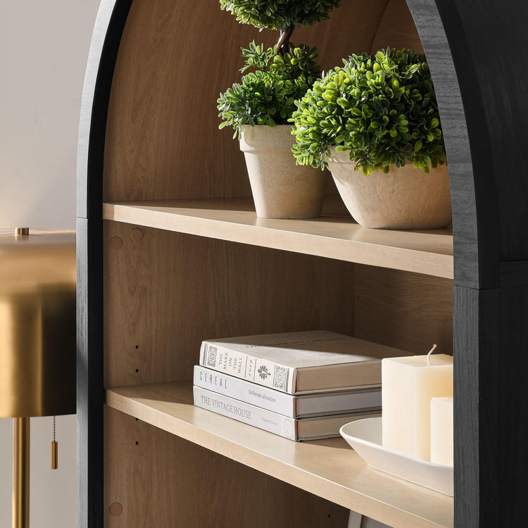 Nolan Tall Arched Storage Display Cabinet in Black