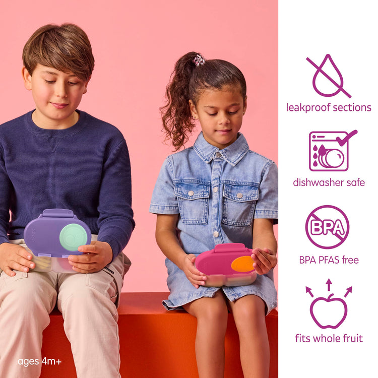 Snack Box 2 Pack (2 Count)