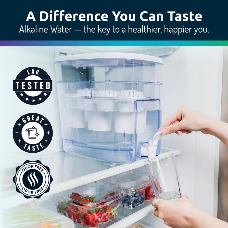 Alkaline Water Filter Dispenser