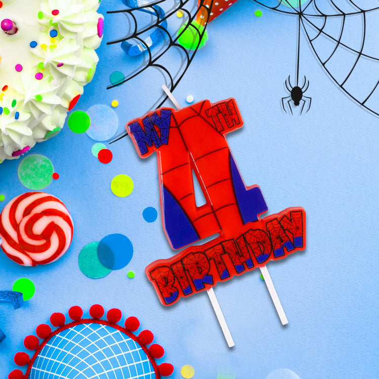 Spider Birthday Party Decorations