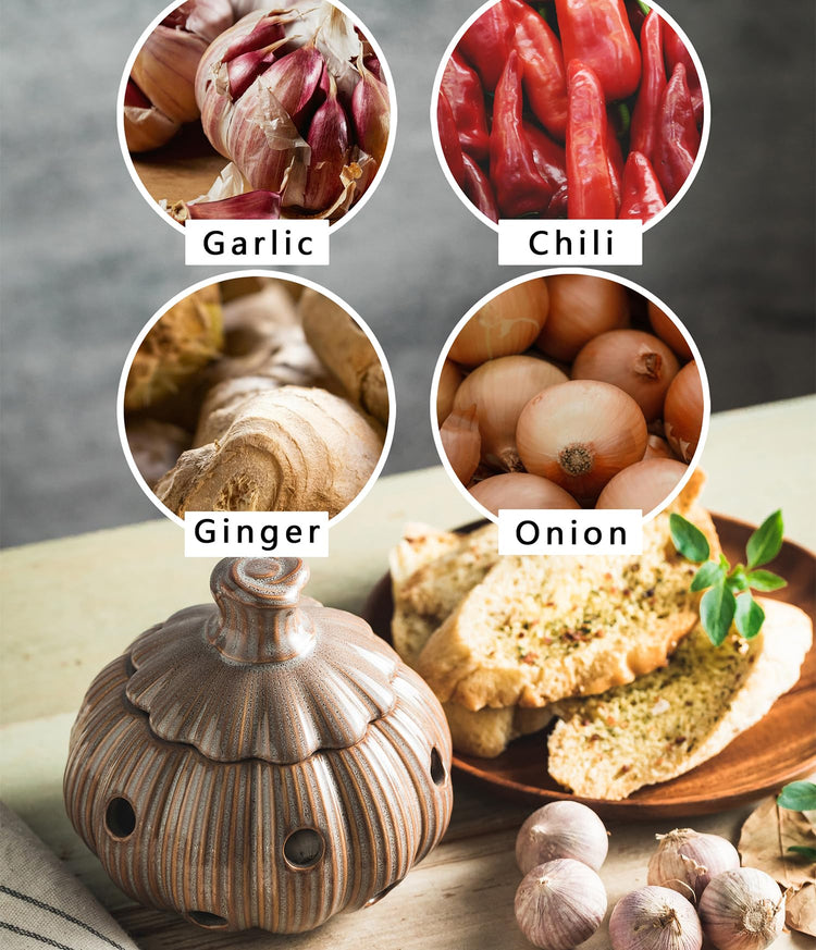 Large Garlic Keeper Storage for Counter