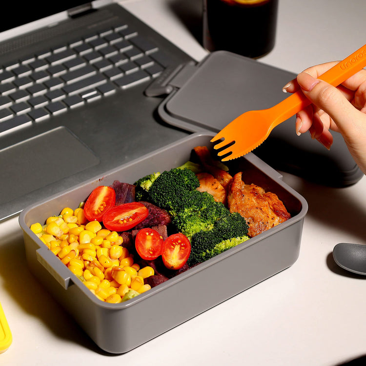 Stackable 2 Tier Adult Bento Box