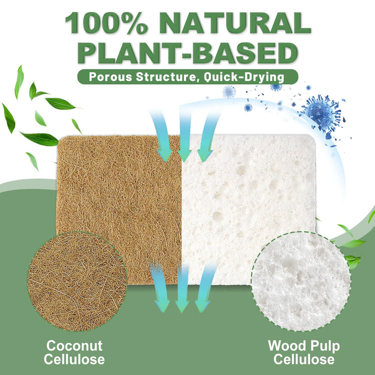 Natural Sponges for Dishes