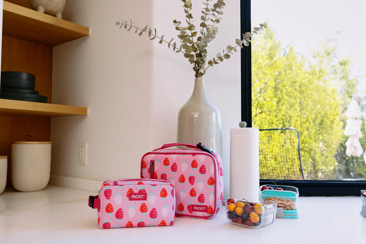 Freezable Classic Lunch Box