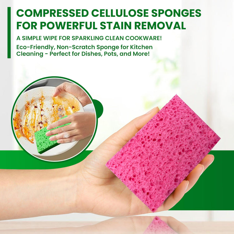 Cellulose Sponges (24 Count)