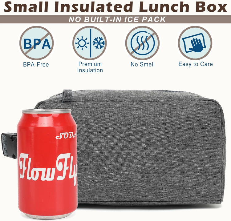 FlowFly Small Insulated Lunch box Portable Soft Bag Mini Cooler Thermal Meal Tote Kit with Buckle for Work, GreyWithBuckle