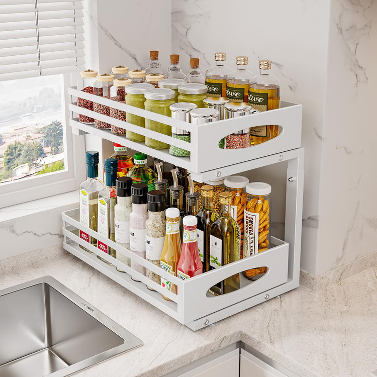 Under Sink Organizer