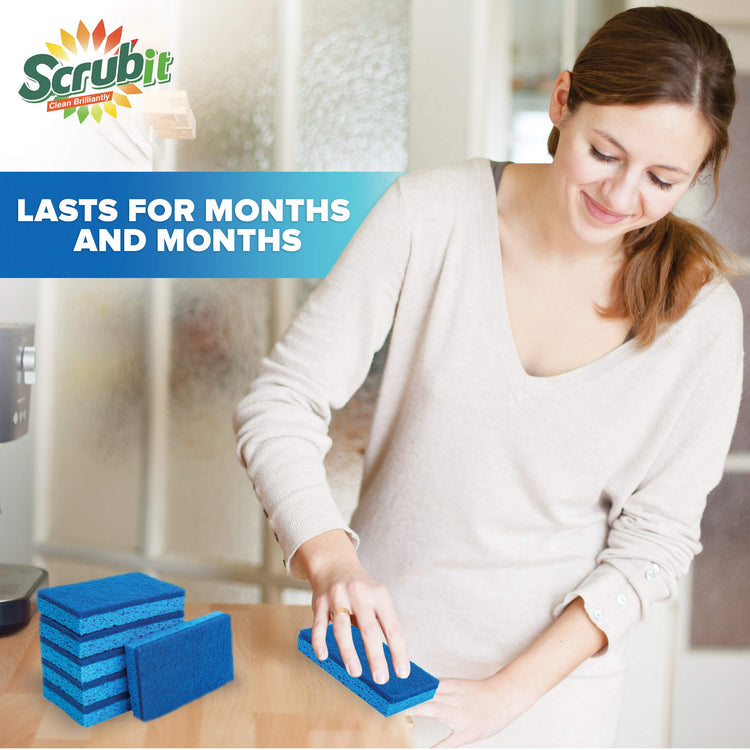 Non Scratch Cleaning Scrub Sponges (6 Count)