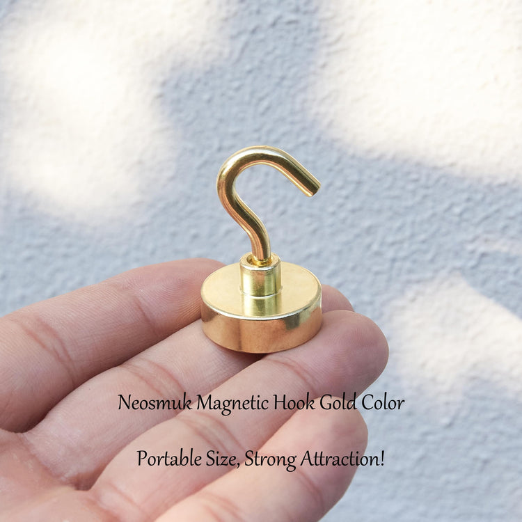 Magnetic Hooks (10 Count)