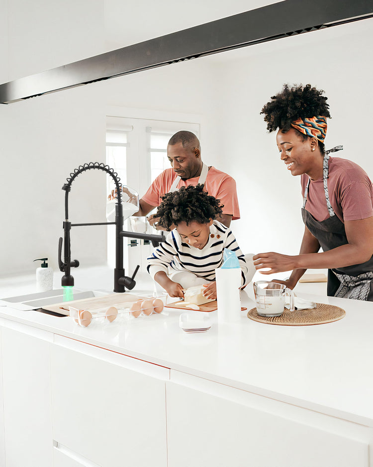 Black Kitchen Faucet with Pull Down Sprayer