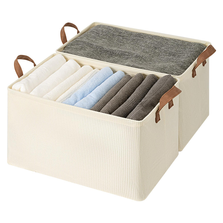 45L Closet Storage Bins (2 Count)