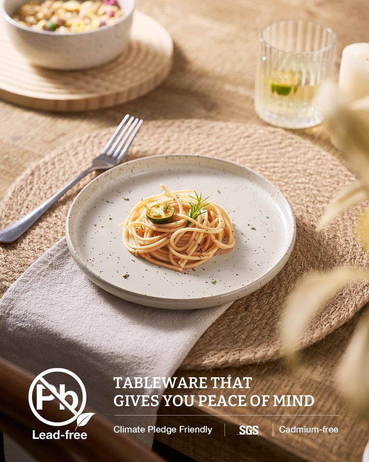 Meteor 12 Piece Stoneware Dinnerware Set