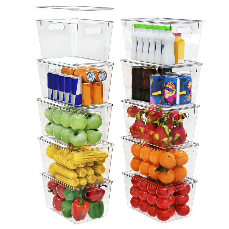 10 Pack Clear Storage Bins with Lids (10 Count)