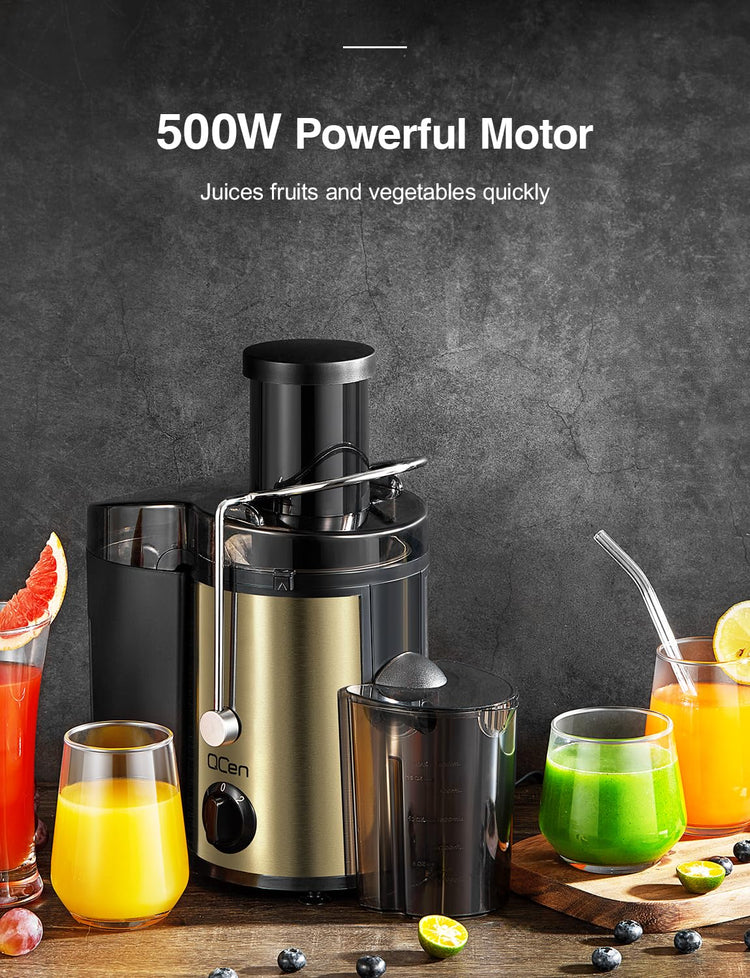 Juicer Machine 500W Centrifugal Juicer with Extra Wide Feed Chute