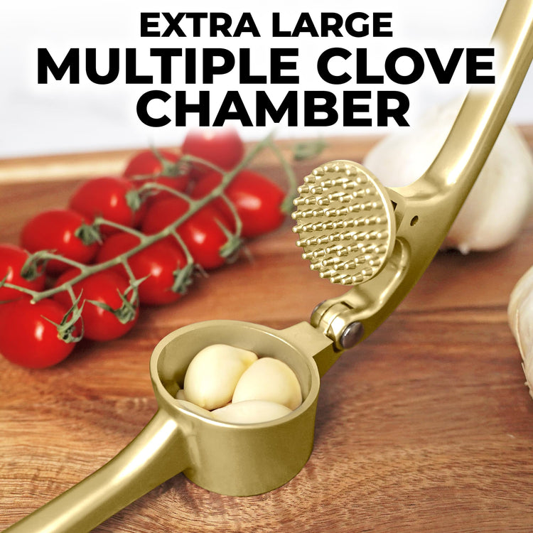Large Premium Garlic Press Set