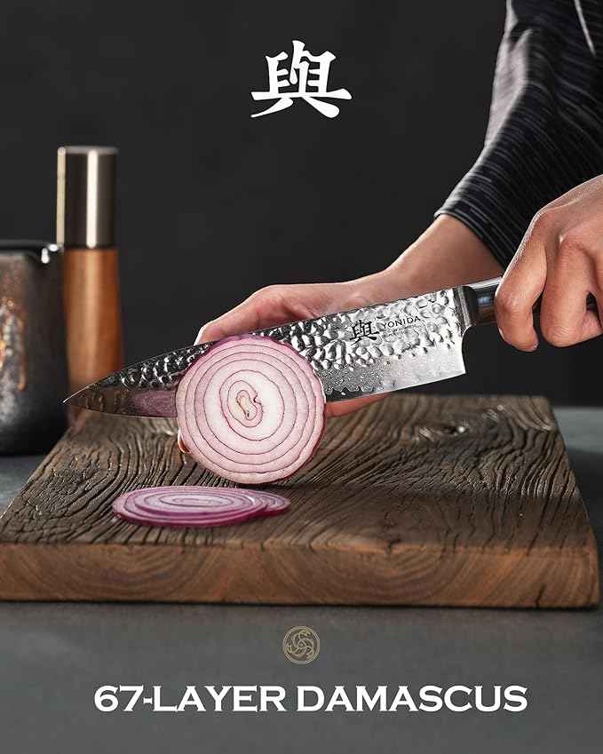 Japanese Chef Knife, 67-Layer Damascus Steel 8 Inch Kitchen Knife with AUS-10 Core, Professional Hand Forged Gyuto Knife with Gift Box, Ergonomic Handle, Ideal Valentine's Day Gifts for Men Women