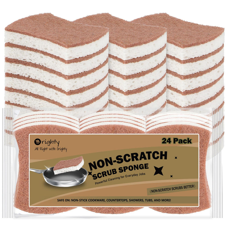 Non Scratch Scrub Sponge (24 Count)