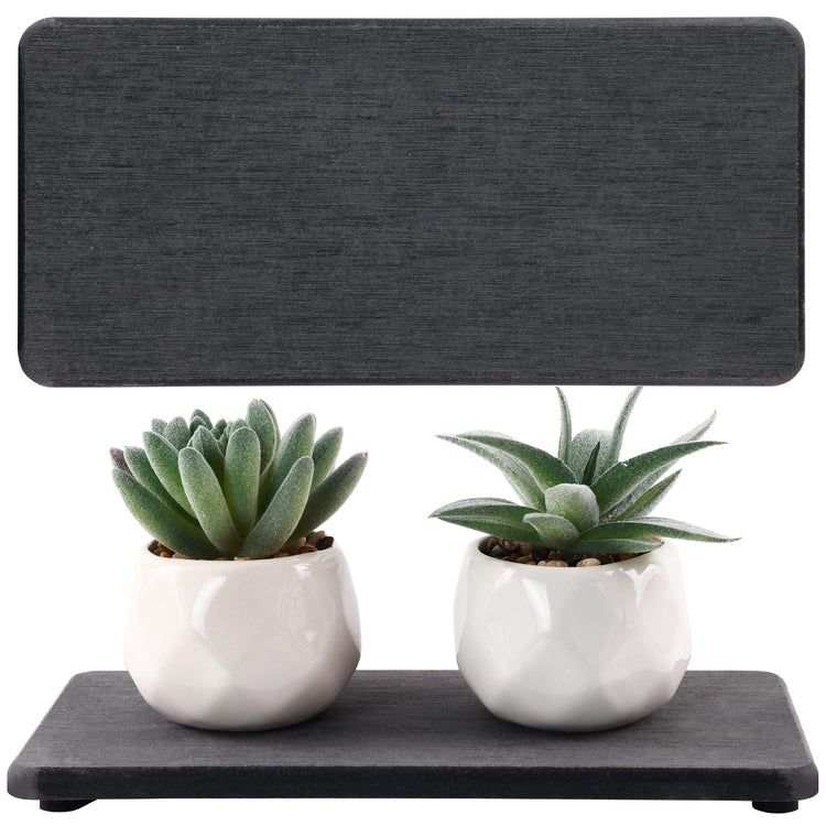 2 Pcs Sink Stone Soap Trays (2 Count)