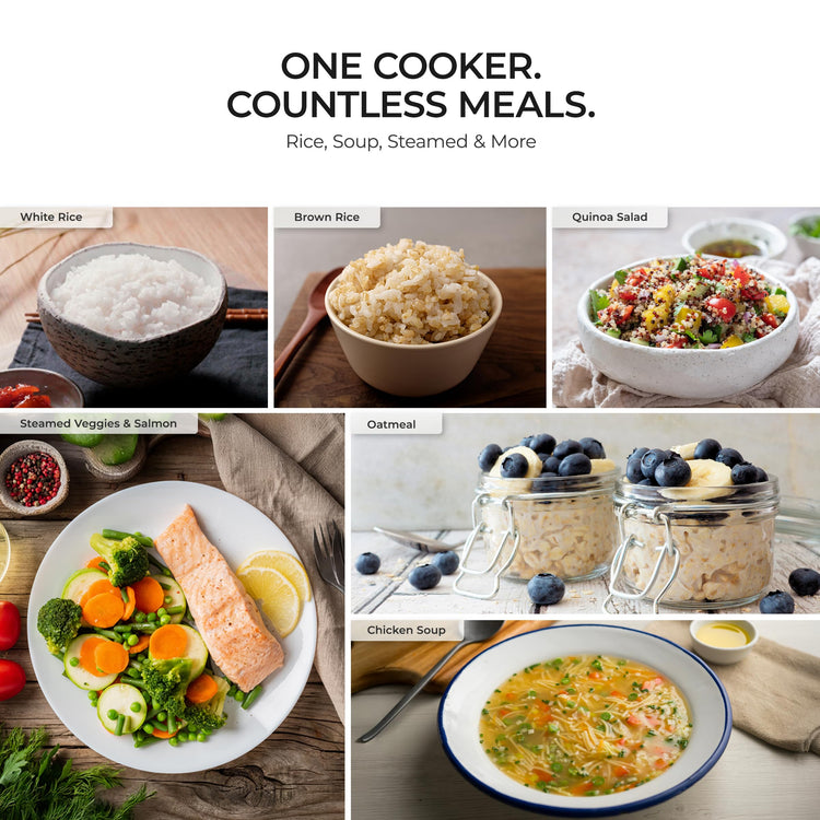 Rice Cooker and Warmer