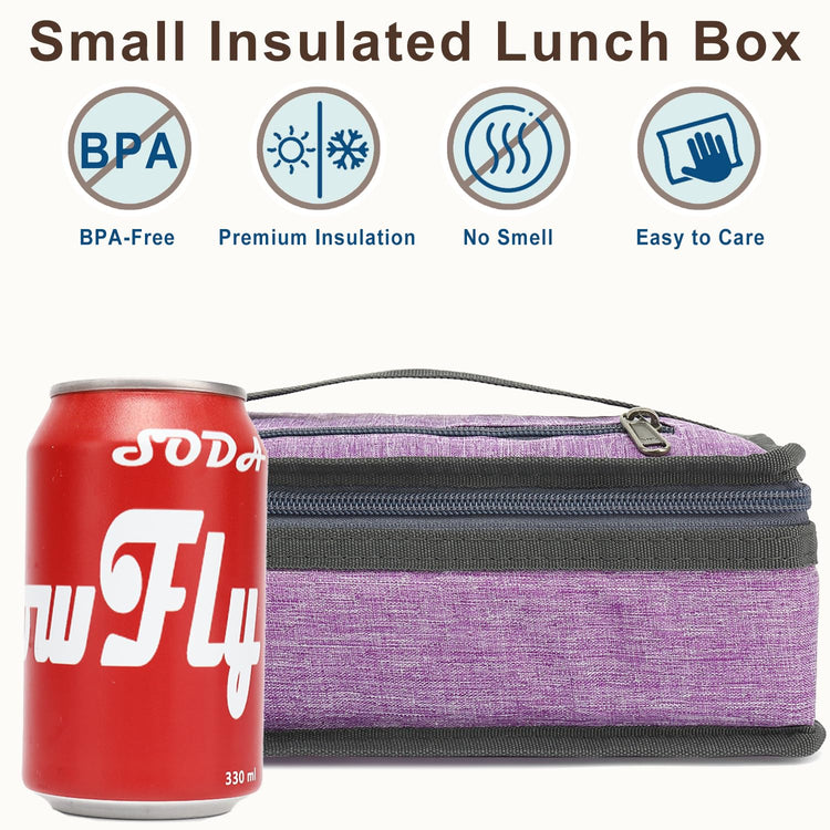 Small Insulated Lunch box Portable Soft Bag Mini Cooler Thermal Meal Tote Kit with Handle for Work & School