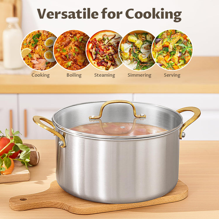 6 QT Stock Pot with Lid