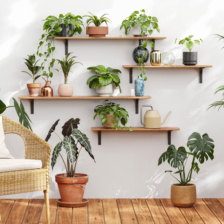 Long Wall Shelves (4 Count)