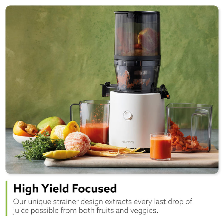 H320N Cold Press Juicer Machine