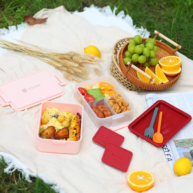 Stackable 2 Tier Adult Bento Box