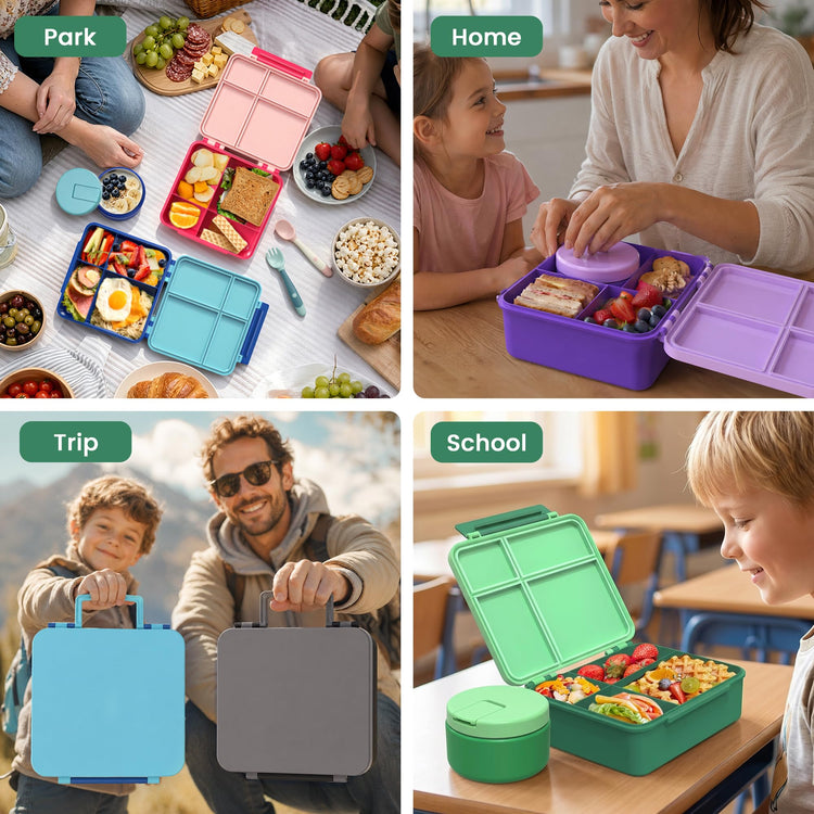 Bento Lunch Box for Kids with 8oz Soup Thermo (4 Count)