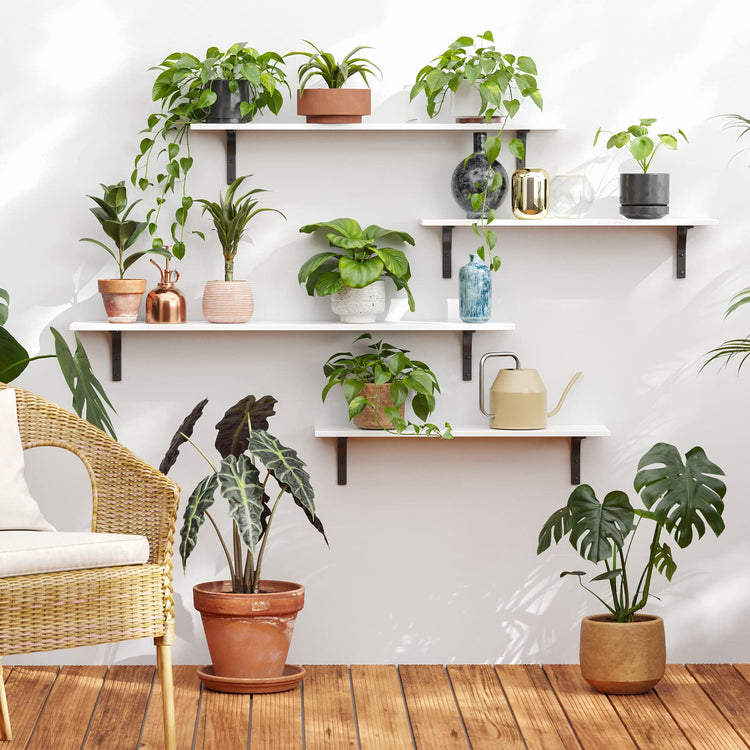 Long Wall Shelves (2 Count)