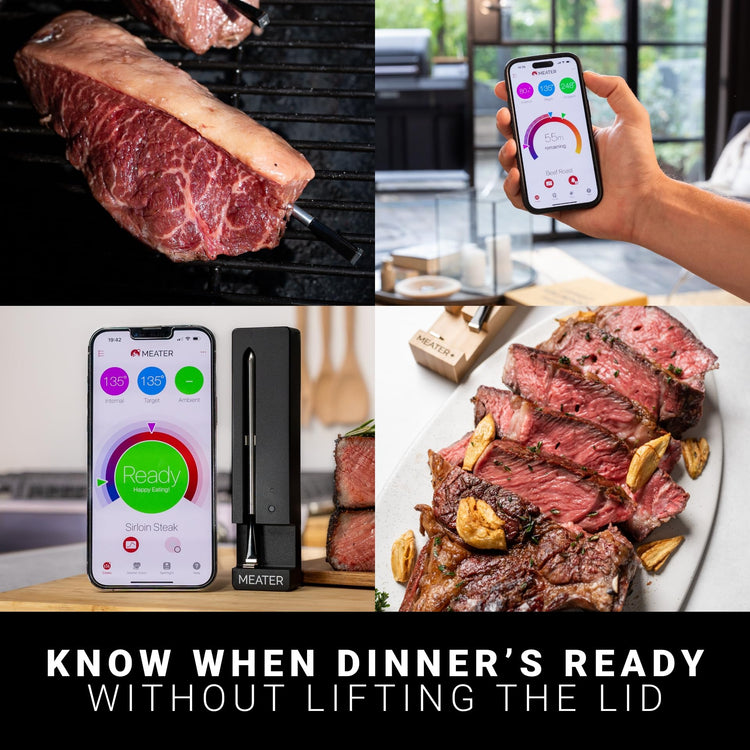 SE Wireless Smart Meat Thermometer