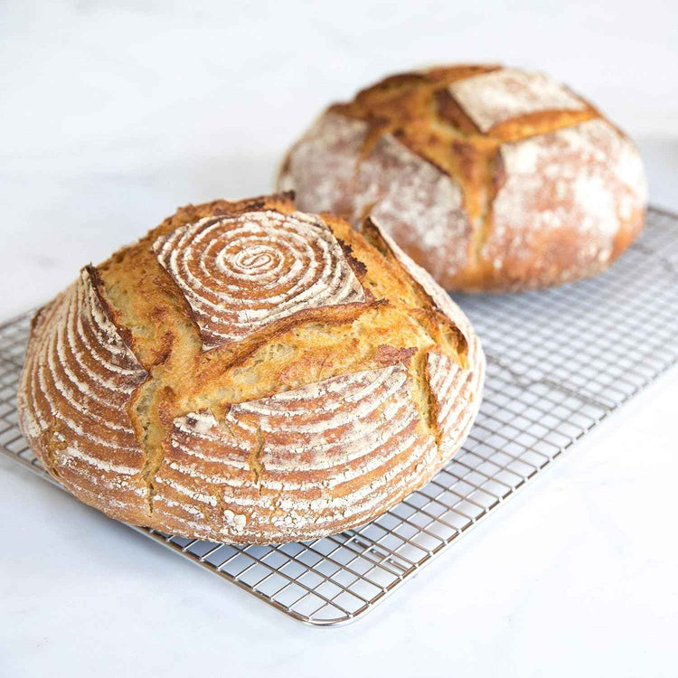 Jovial Organic Einkorn Whole Wheat Flour - Bread Baking Flour for Sourdough, High Protein, Non-GMO, Organic Pizza & Pasta Flour, European Italian Flour, Glyphosate Free - 32 Oz, 3 Pack