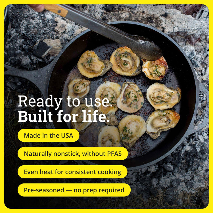 Pre Seasoned Cast Iron Skillet