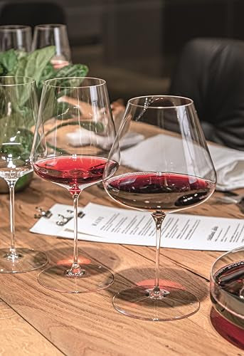 Definition Burgundy Wine Glasses Set of 2 (2 Count)