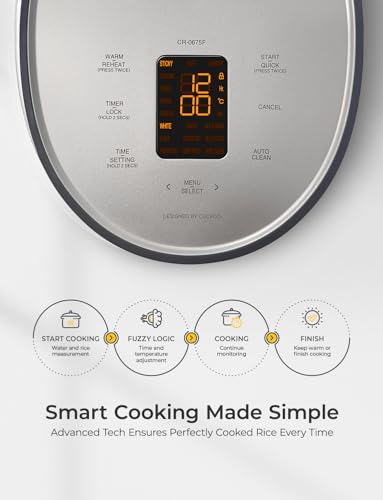 Micom Fuzzy Logic Rice Cooker (GRAY / 6 CUP)