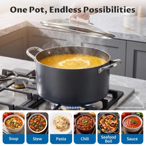 6 Quart Nonstick Stock Pot with Lid (6 Quarts)