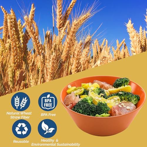 50 Oz Wheat Straw Bowls Set of 6 (Multicolor / 50 oz)