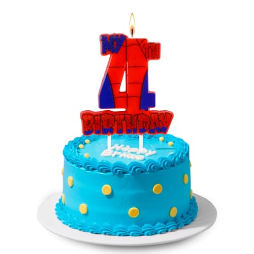 Spider Birthday Party Decorations (Spider Web 4th Candle)