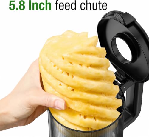Cold Press Juicer Machine (Grey)