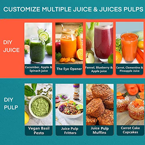 Juicer Machines (Silver)
